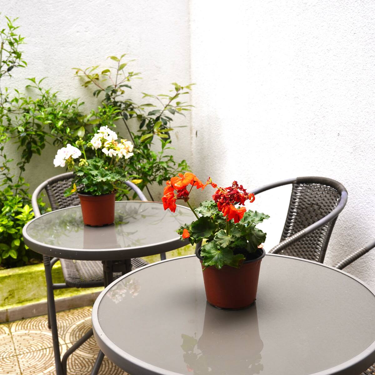 Tülin Hanım Apartmanı 1