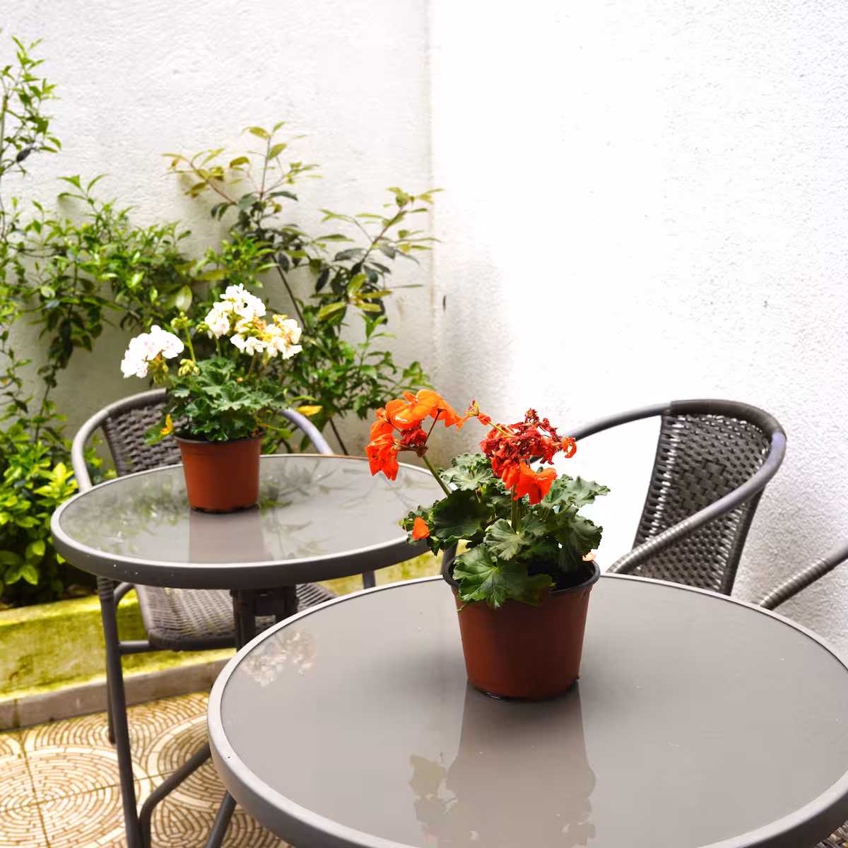 Tülin Hanım Apartmanı 3